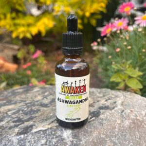 Ashwagandha Tincture