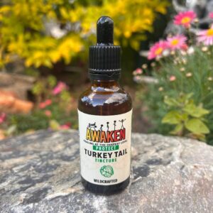 Turkey Tail Tincture